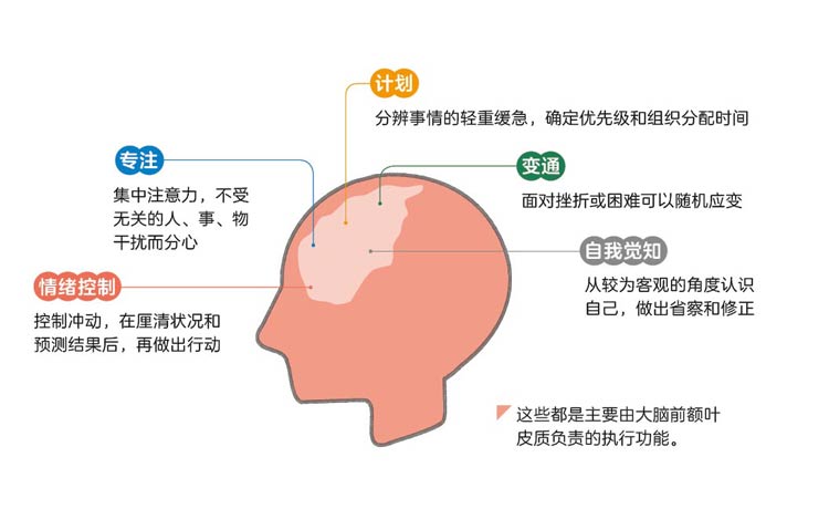 网站用导读图片1.jpg